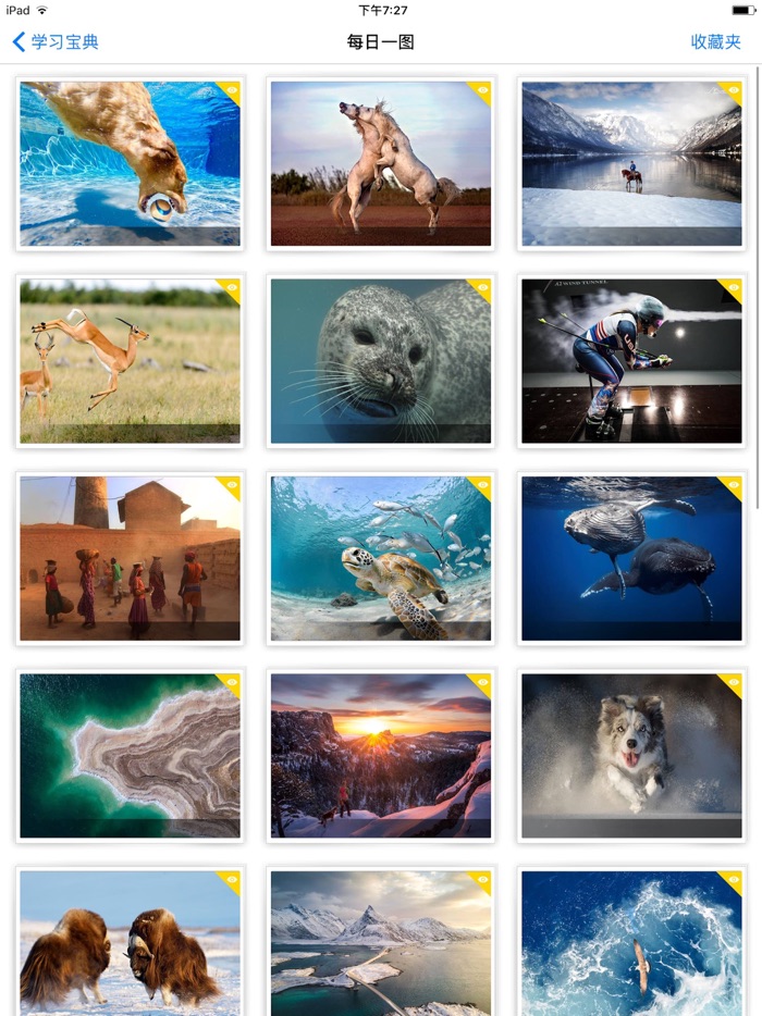 语文学习宝典专业版