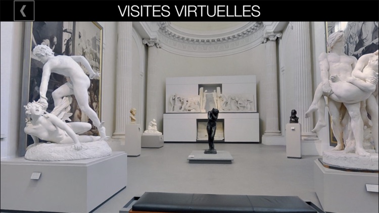 MBA, Musée des Beaux-Arts de Lyon screenshot-4