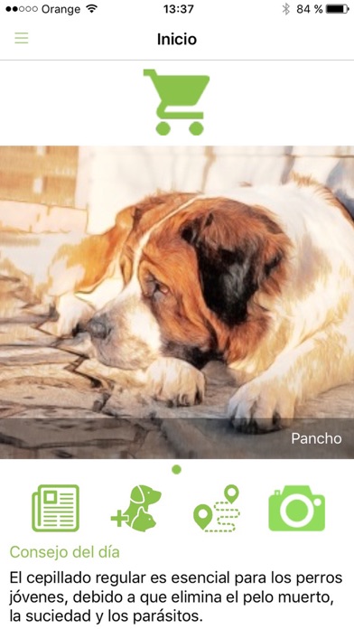 VET Alimento Veterinario screenshot 2