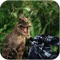 Dinosaur City - Survival Island is a game in which deadly dinosaurs are escaped from the Jurassic World and entered into the a city on an island where people are busy in their daily chores