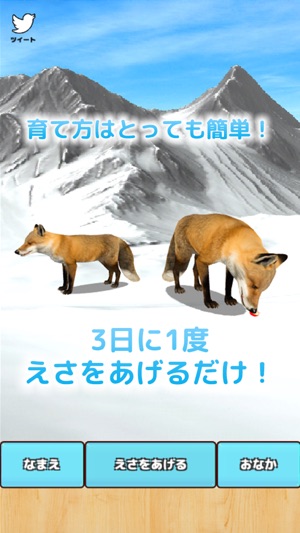 Cute Fox Healing Life(圖2)-速報App