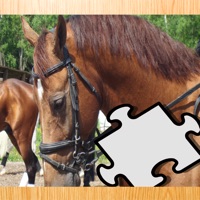 Cavalos Coloridos Quebra-cabeça Para Crianças e Cavaleiros Jogo Grátis