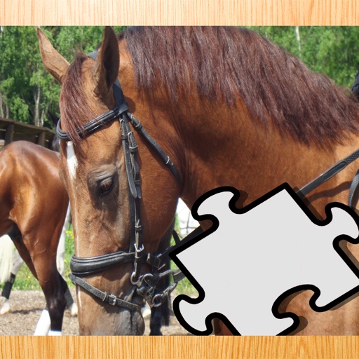 A Ponies Puzzle for Kids and Horse-s Man & Girl-s - Free Interactive Learn-ing Game-s