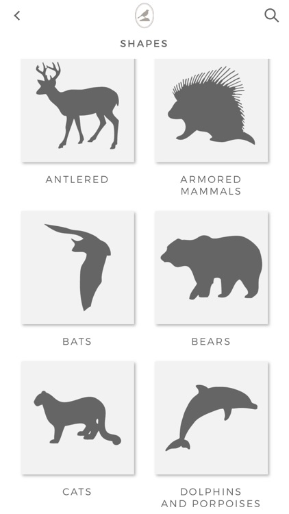 Fieldstone Guide: Mammals screenshot-5