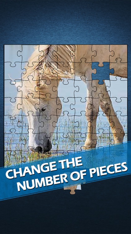 Exercise the brain in a jigsaw puzzle
