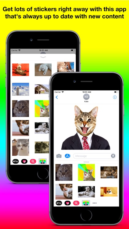 Animated Cat Stickers Pro