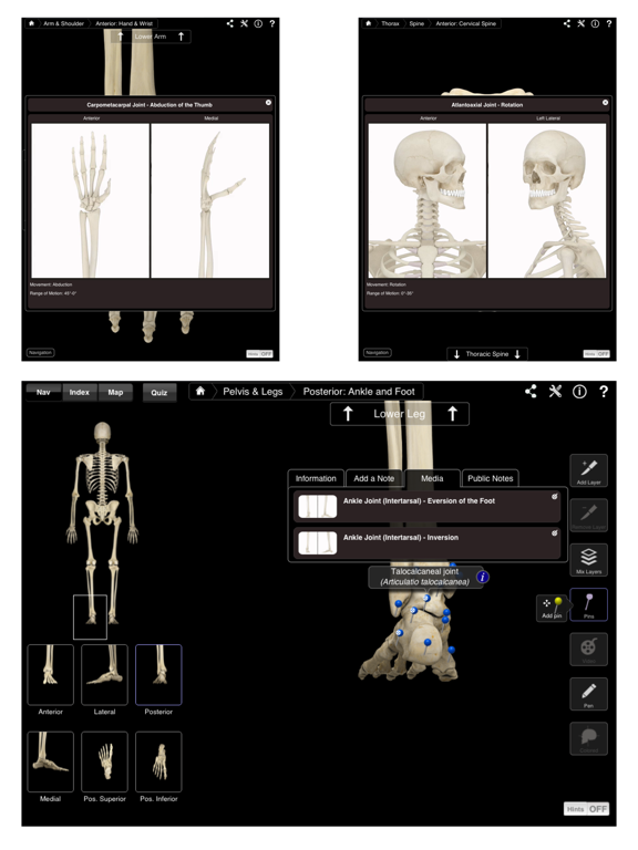 Skeleton System Pro III Screenshot 4