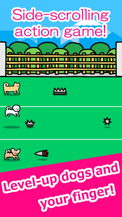 Play with Dogs