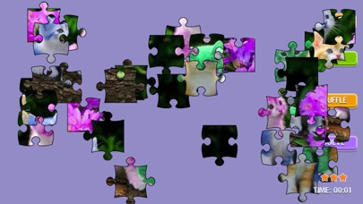 Cute Kittens-Colorful puzzle screenshot 3