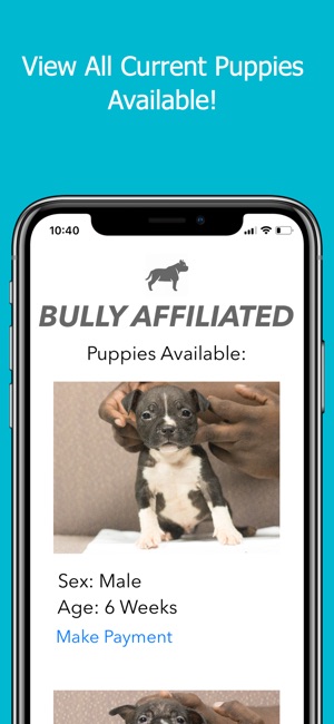 Bully Affiliated(圖1)-速報App