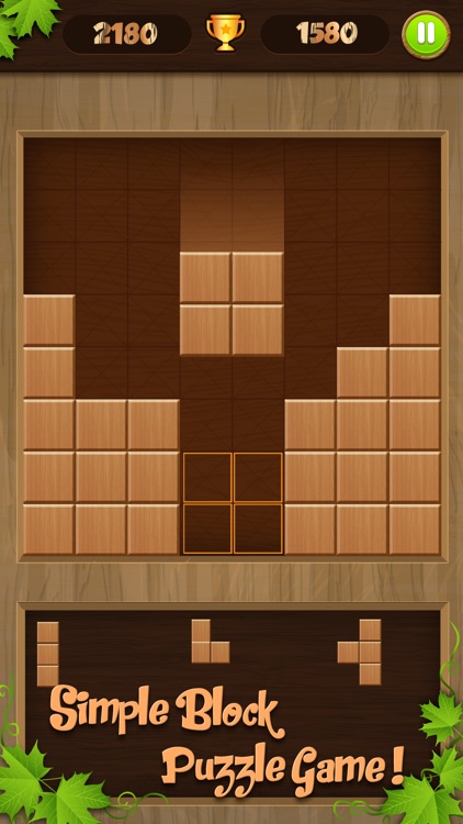 Wooden Puzzle Block Jigsaw