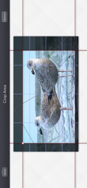 Video Crop & Zoom - HD(圖7)-速報App
