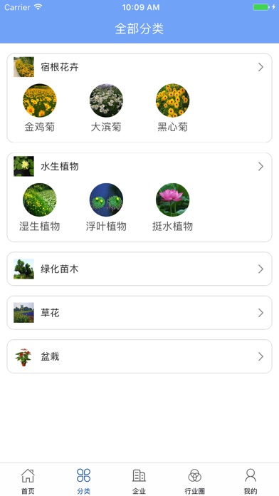 中国花卉行业门户 screenshot 2