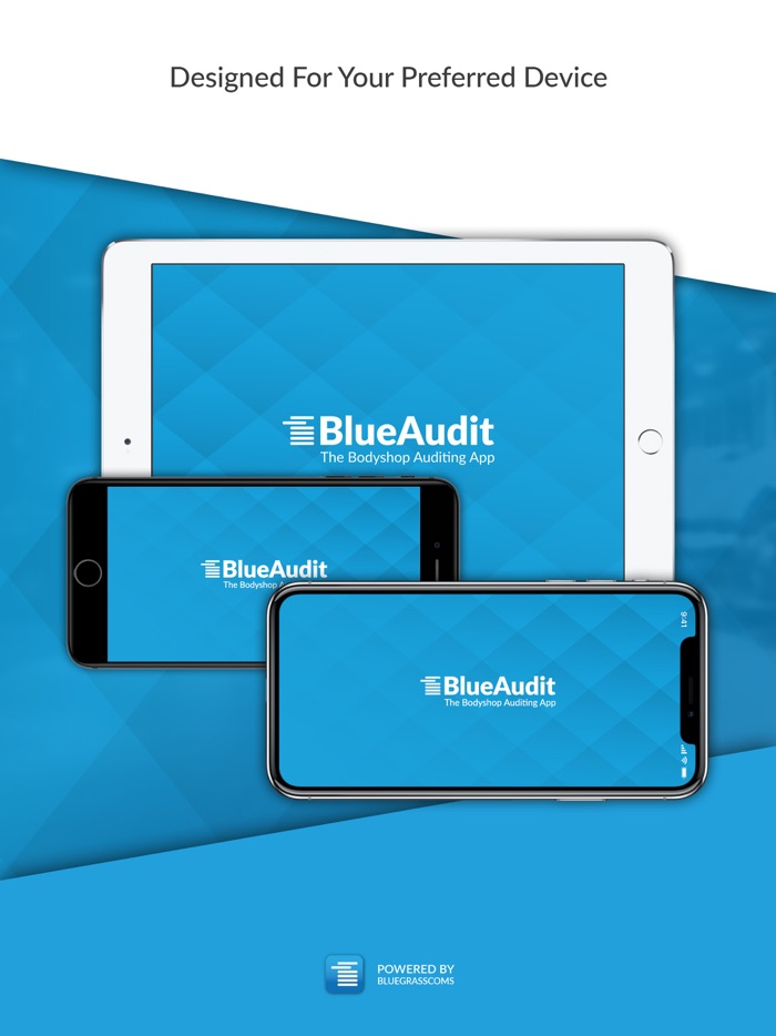 Blue Audit