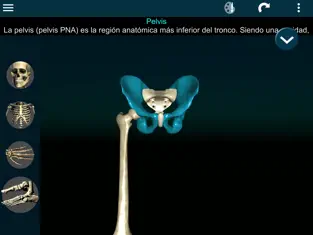 Screenshot 4 Huesos Humanos 3D (anatomía) iphone