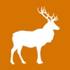 Deer Feeding Times for Hunting