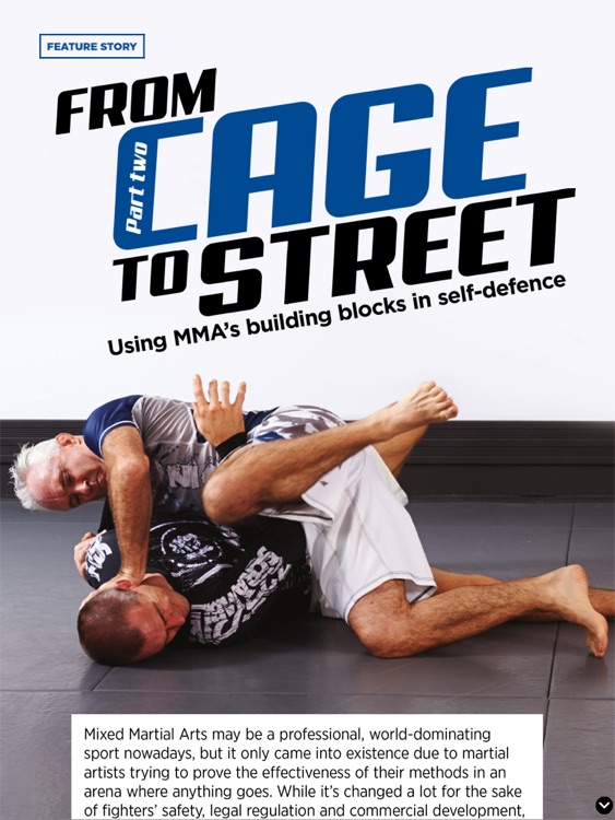 BLITZ Martial Arts Magazine screenshot-3