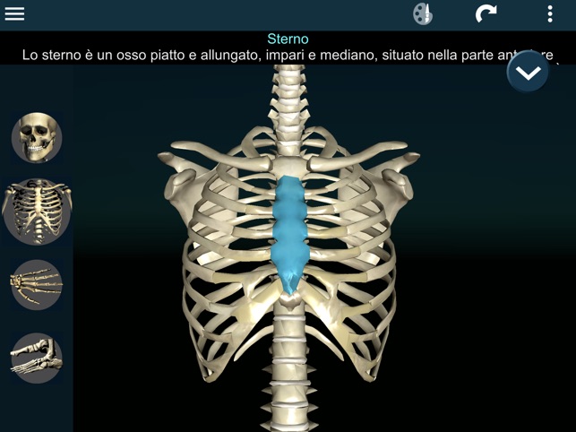 Ossa Umano 3d Anatomia Su App Store