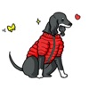 Cute Saluki Dog Sticker