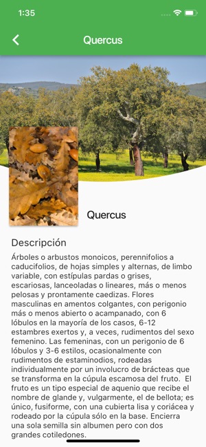 Arboles Ibericos(圖6)-速報App