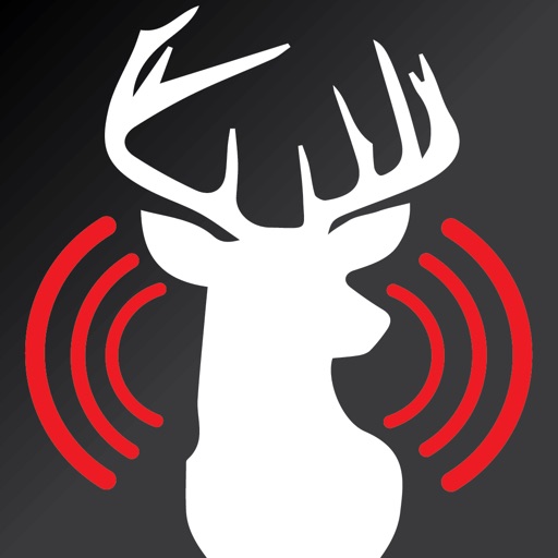Calls for Whitetail Deer
