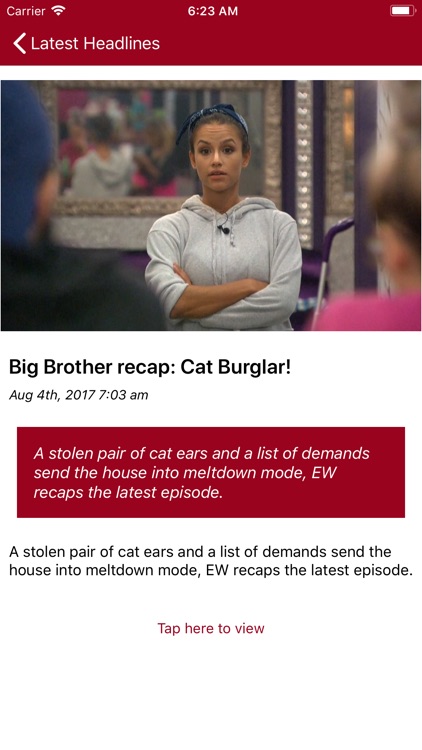 Big Brother Hamster Soup screenshot-4