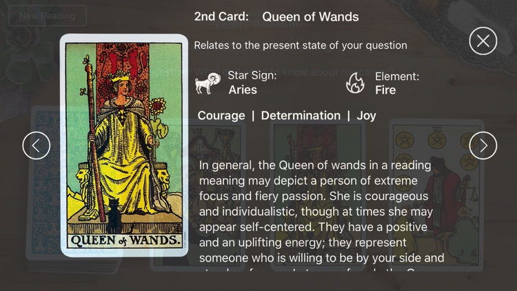 My Tarot Reading screenshot-4