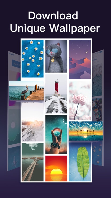 Wallpaper X – 4K HD wallpapers screenshot-3