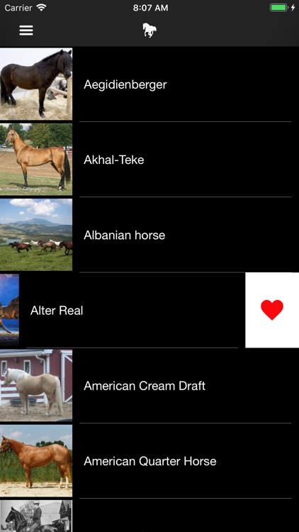 Horses 2.0