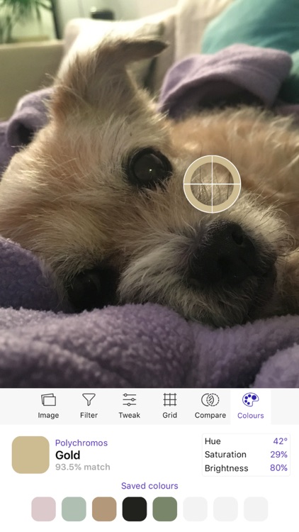 Arty screenshot-4