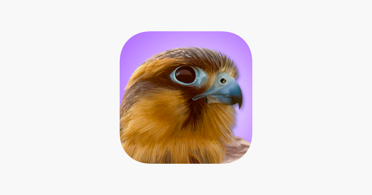 ibird pro guide to birds on the app store
