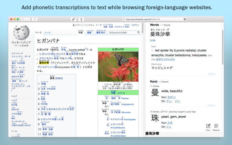 LinguaBrowse screenshot 2