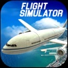 Crazy Flight Simulator 2017