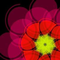 Simple Shapes in Motion