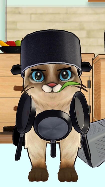 Macho Cat : Pet Cat Simulator screenshot-4