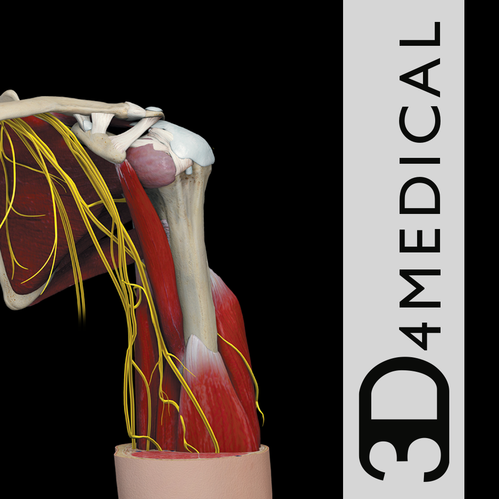 Get Shoulder Pro III for iOS, iPhone, iPad Aso Report