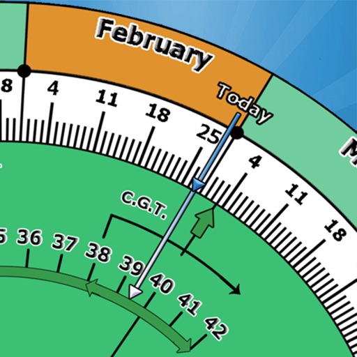Pregnancy Obstetric Ruler by ClaRo di Solaroli Claudio & c. s.a.s.