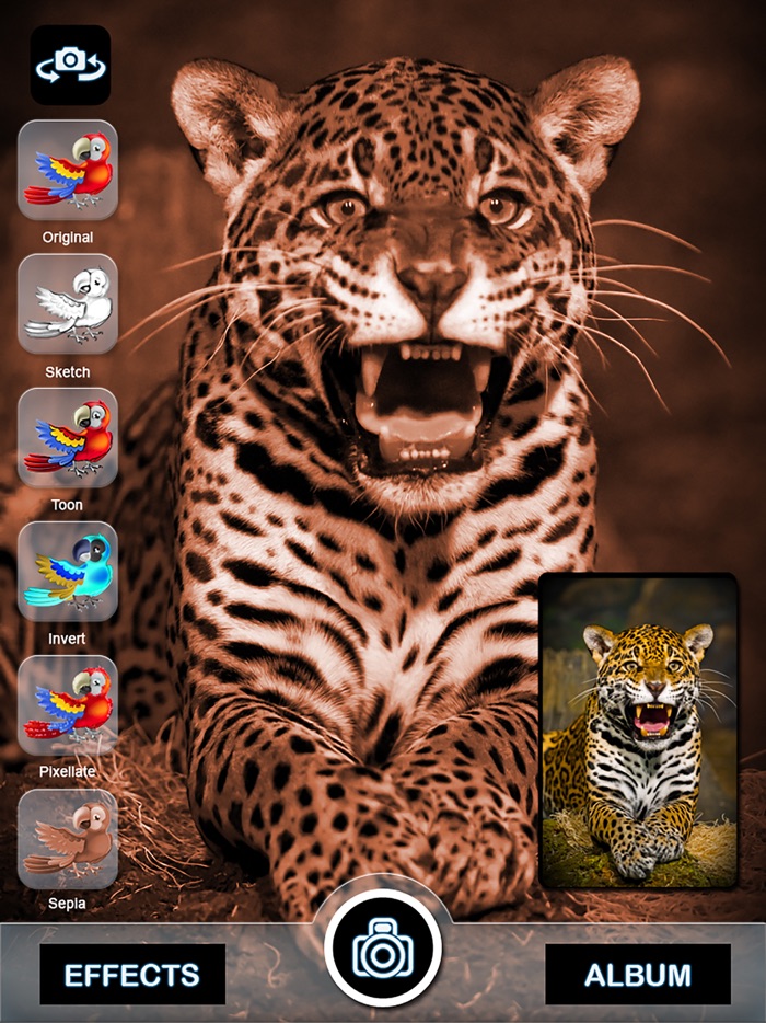 Cartoon Live Camera - Sketch