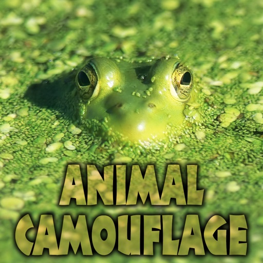 Animal Camouflage - CLIL Reader iOS App