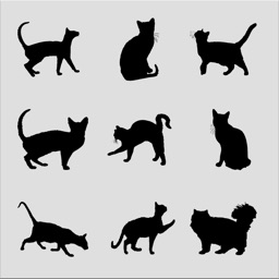 Black Cats Stickers