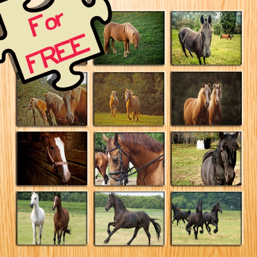 12 Animated Horse-s & Pony Puzzle-s For Kids icon