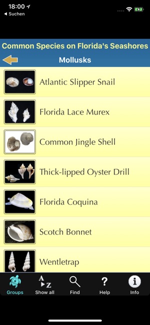 Florida Seashore Wildlife(圖9)-速報App