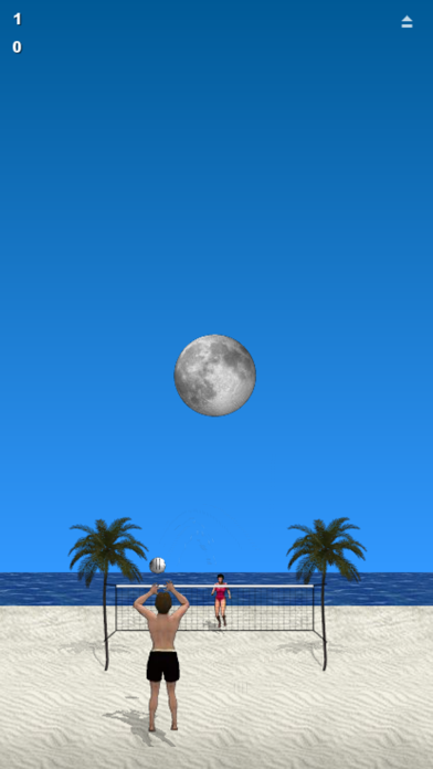 Beach Volleyball Screenshot 2