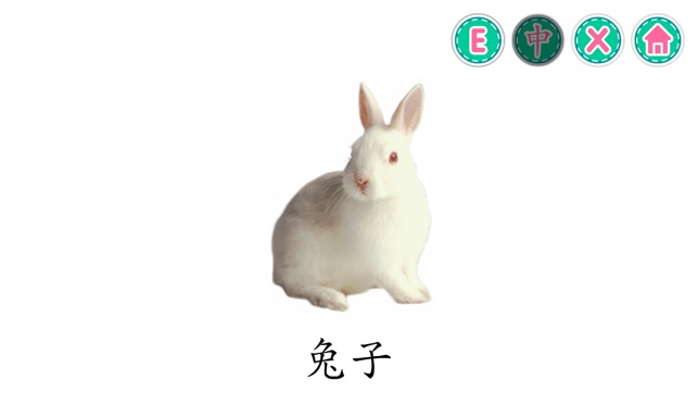 PicDic - Animals (Eng-Chinese)(圖4)-速報App