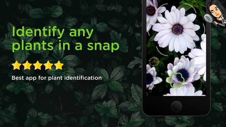 PLANT ID: PLANT IDENTIFICATION