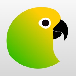 Conure Music