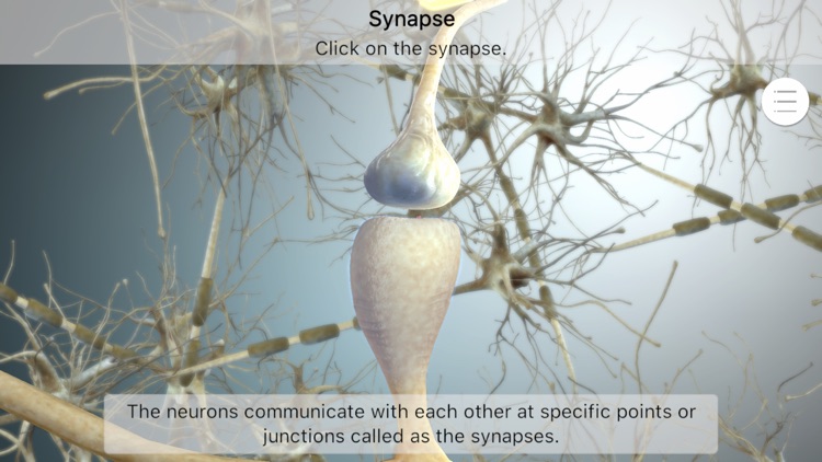 Brainapse screenshot-6