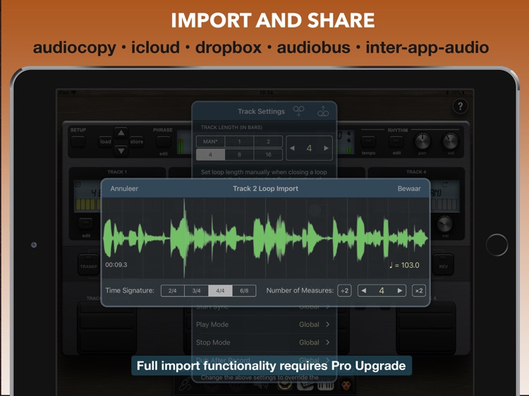 Quantiloop Pro - Live Looper screenshot-3