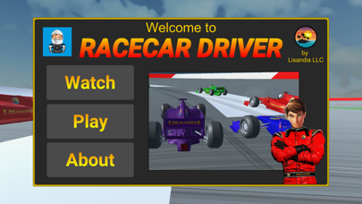 Racecar Driver screenshot 1