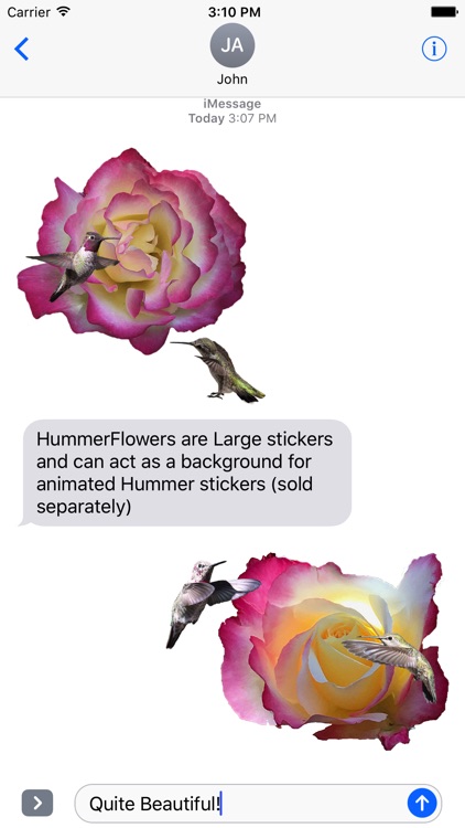 Hummingbird Flowers
